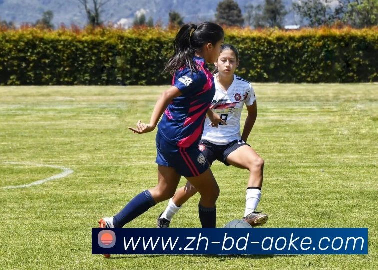 多媒体互动体验